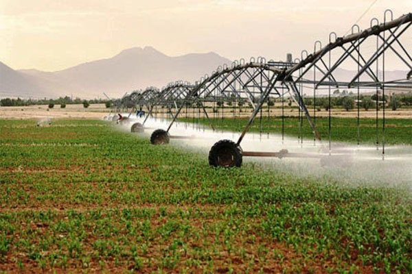 روش های بهره گیری از آب کاربردی 6 محصول در استان تعیین شدند